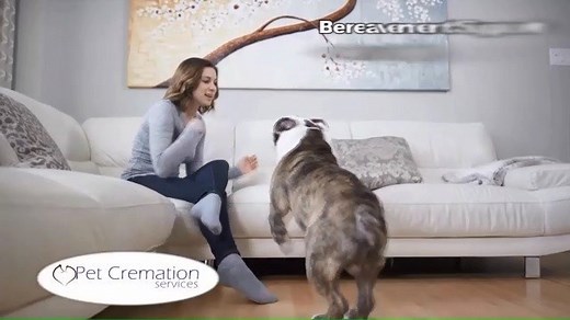 Pet Cremation Services of Arkansas strives to honor your pet through caring and ethical treatment and to bring comfort to you and your family during this difficult time. Call (501) 831-4562 https://petcremationsar.com/ | KARK 4 News | Facebook