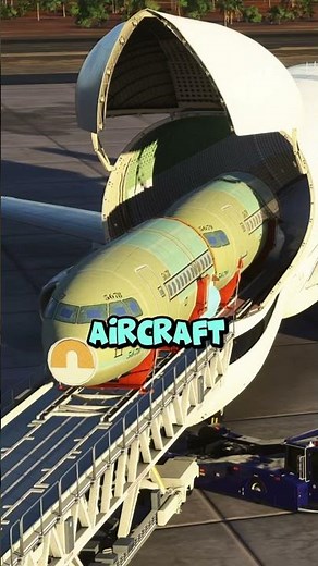 Why does the beluga cockpit look so small?