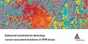 A Novel Method for the Isolation of Highly Pure Carcinoma Cell Populations from FFPE Tissue Improves Sensitivity for Detecting Somatic Mutations