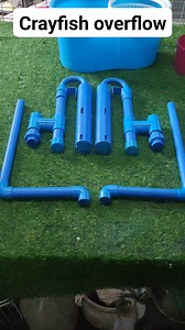 5.4K views · 63 reactions | Crayfish overflow #diyprojects #highlights | Kuya Lito DIY Philippines | Facebook