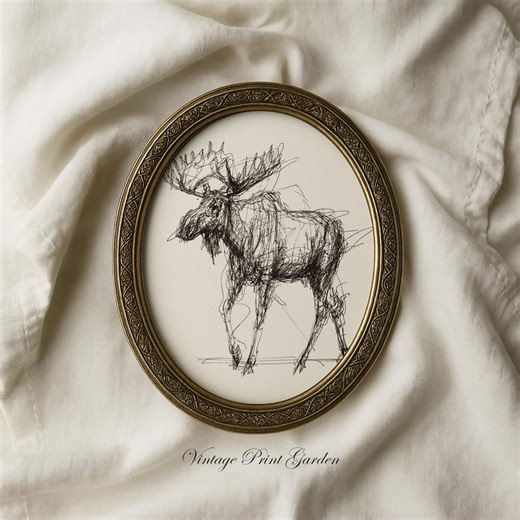 Vintage Moose Sketch Wall Art Rustic Woodland Animal Drawing Minimalist Wildlife Illustration Cabin Decor Printable Digital Download - Etsy