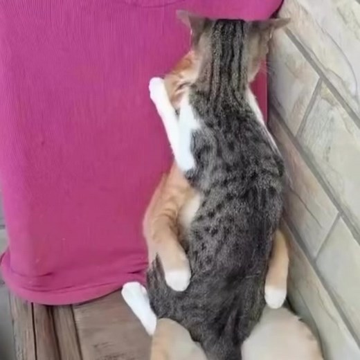 Exploring the Real Goofiness: A Dive into the Mind #officialrealgoofy