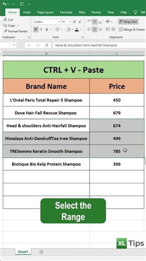 Effortlessly Paste with CTRL + V in Excel | Excel Paste Shortcut | Excel Productivity Tips