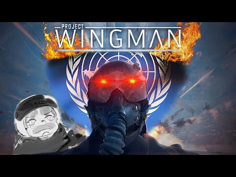 ☢ DISMANTLE THE UN ☢ | Project Wingman VR Review