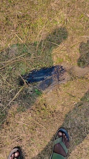 RR310 full power dekhlo ✅ #stunt #motovolgger #motorcycle #superbike #rider #motovlo #rr310 | WB Sohel Rider