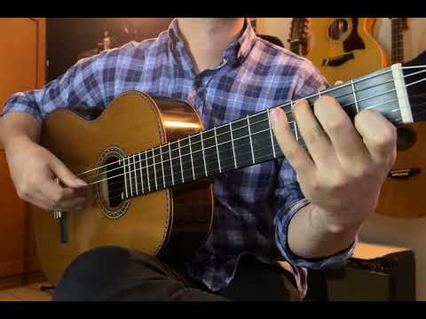 Oleo De Una Mujer Con Sombrero - Silvio Rodriguez (INTRO)