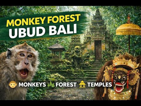 Inside Monkey Forest Ubud 🐒 | Nature, Monkeys & Hidden Temples in Bali