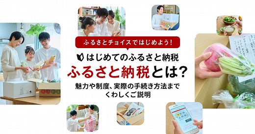 ふるさと納税とは？仕組みとやり方を初心者向けにわかりやすく図解で解説｜ふるさとチョイス