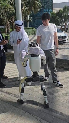 Have you ever seen a robot boxer? Watch this guys. It's funny.