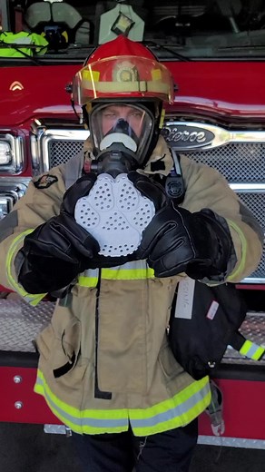 Rescue Retriever: Ultimate Pet Smoke Detector