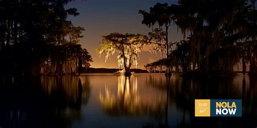 Heart of Louisiana: Atchafalaya Swamp