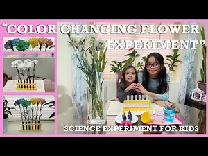 Color Changing Flower Experiment | Science Experiment for Kids