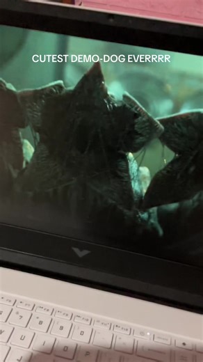 Cutest Demo-Dog Ever in Stranger Things