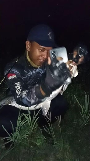 #BARRAMUNDIPANTURA #PEKOKLURE SWEEM PROTOTYPE 12cm