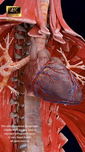 169K views · 1.6K reactions | Your First Homeland | Uterus Anatomy...