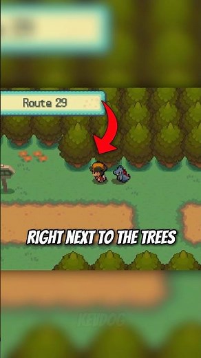 Fun Detail on Pokémon SoulSilver