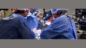 First Person With Transplanted Genetically Modified Pig Heart Dies