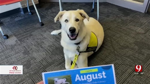 The Porch Learns More About Kids Reading To Dogs At The Library