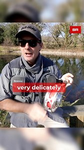 FLY FISHER : A fly line that double hauls and roll casts for miles but lands like a feather 👀 With welded loops! And it's cheap 👍 | Sunray