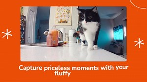 SensForge 2.5K Pan-Tilt Security Camera, 360° Dual-Band WiFi Camera for Home, Free AI Human & Pet Detection, 2-Day Cloud + 64GB SD Storage, Two-Way Talk, Optional AI + Storage Upgrade (1, White)