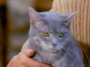 Cat Care & Training Tips: Purina Pets For People [Full VHS]