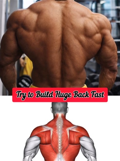 Ultimate Back Workout for a Wider & Stronger Back 💪 | Build a Powerful V-Taper Description: Want a wider, thicker, and stronger back? This powerful back workout will help you build serious strength and muscle definition. A strong back not only improves your posture but also gives your body that impressive V-taper look. In this video, we cover some of the most effective exercises that target your lats, mid-back, and overall upper body strength. The workout includes Weighted Pull-Ups, Inverted Ro