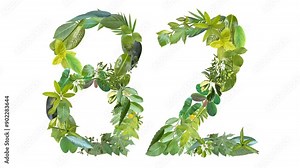 82, the number is formed from the arrangement of fallen leaves, suitable for birthday, anniversary and memorial day templates