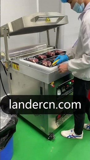 Meat beef steaks vacuum skin packaging machine LSP760