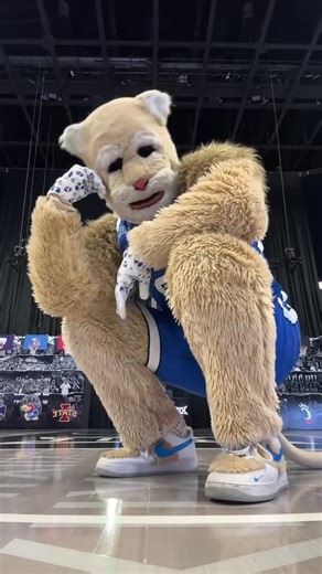 happy gameday #cosmo #byu #dance | dancing