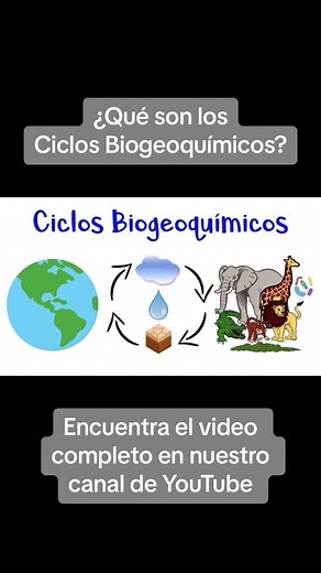 Ciclos Biogeoquímicos: Ejemplos y Clasificación