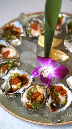 Fresh, sustainable and DELICIOUS 🦪🤤🤩 That's the Mikuni way 🤝🏼 | Mikuni Japanese Restaurant and Sushi Bar