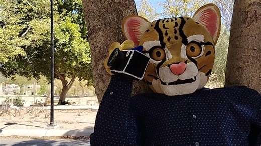 Conoce a Leo Pardalis, el ocelote (Leopardus pardalis) embajador de la CONANP-Dirección Regional Noroeste y Alto Golfo de California. 🐯 Vive en Sonora, es licenciado en Ciencias de la Comunicación y disfruta de la fotografía de naturaleza y etnográfica. 📷 ¡Acompáñalo en sus aventuras! #SomosNaturaleza #ÁreasNaturalesProtegidas #GuardianesDeLaNaturaleza #TanTan 🐾🌳🌊🏜️🌸 | Comisión Nacional de Áreas Naturales Protegidas