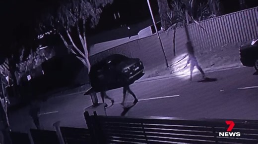 6.3K views · 38 reactions | A mother and son have been stabbed in their home as a war between rival youth gangs explodes. A 16-year-old has been arrested but police are continuing their hunt for another three masked offenders who stormed the Gulfview Heights home. Story: https://7news.link/47YFGGN #GulfviewHeights #7NEWS | 7NEWS Adelaide | Facebook