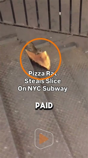 Pizza Rat Got Caught Mid-Dinner