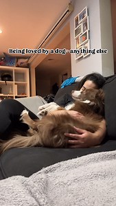 18K views · 620 reactions | The best cuddles 殺 . . #dogtherapy #ilovemydog #dogcuddles #mybestfriendhaspaws #doglovers #bordercollie #cutedogvideos #dogoftheday #dogreels #dogvideooftheday #dogreelsvideo #cuddlypup | Leo | Facebook