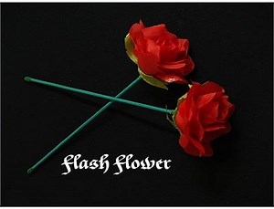 Red Flash Flower  -