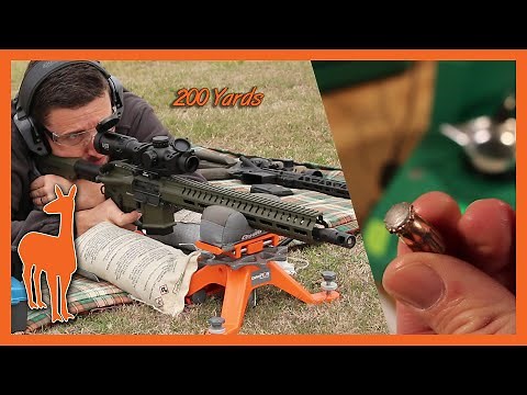 350 Legend Hornady American Whitetail vs Ballistic Gel at 100 and 200 Yards - The Social Regressive