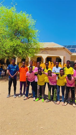 F1C vs. F4: The Ultimate Sports Showdown