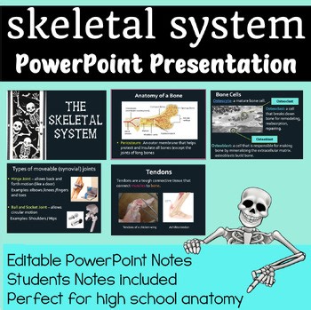 Skeletal System Notes - Skeletal System Editable PowerPoint Notes for Anatomy