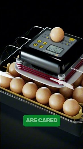 Simplify your hatching journey!