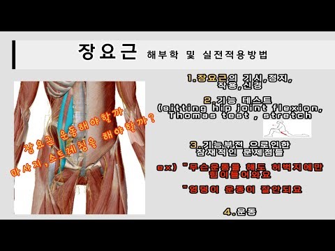 장요근 해부학