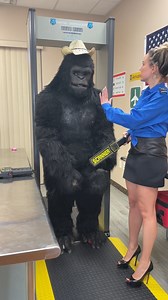 351K views · 194 reactions | Only in Miami 藍 #travel #vacation #airport #funny | Our Weird & Wonderful Discoveries | Facebook