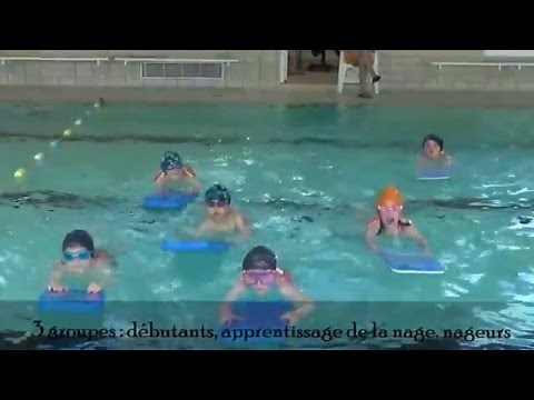 Natation au cycle 2 - 2016