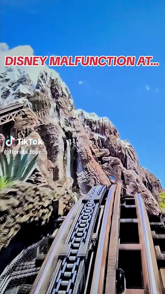 This ride used to be my favorite‼️⚠️ #pov #disney #animalkingdom #themepark #fun