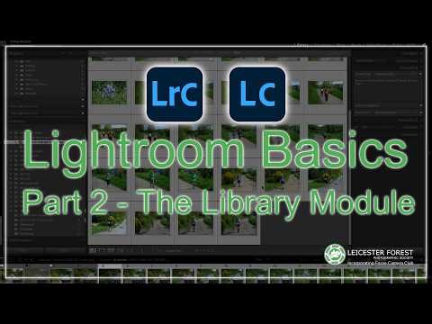 Lightroom Basics Part 2 - The Library Module