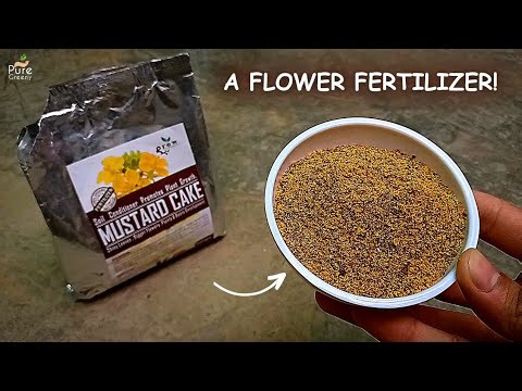 9 Hidden BENEFITS Of Mustard Cake Fertilizer For Plants! (USE THIS WAY)
