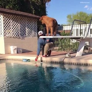 41K views · 650 reactions | Describe your dream pool party: Me: | boohoo.com | Facebook