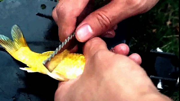 Multi-Purpose Folding Shovel Ultimate Survival Tool