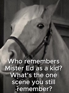 Share with anyone you know that watched this show growing up! | Animal Rescue Home