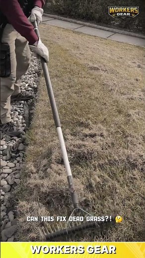 Manual Lawn Rake Tool for Cleaning and Grass Restoration in Home Garden Landscapes